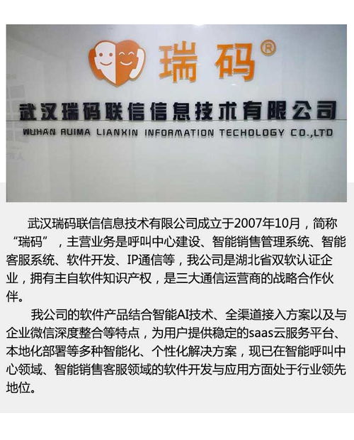 深入解析武汉智能客服系统 瑞码联信与瑞饶信息的技术创新